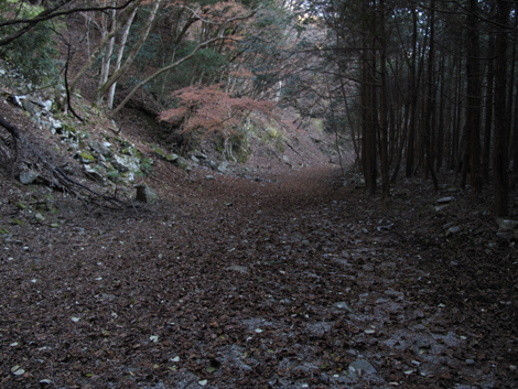 20161206hike (502)